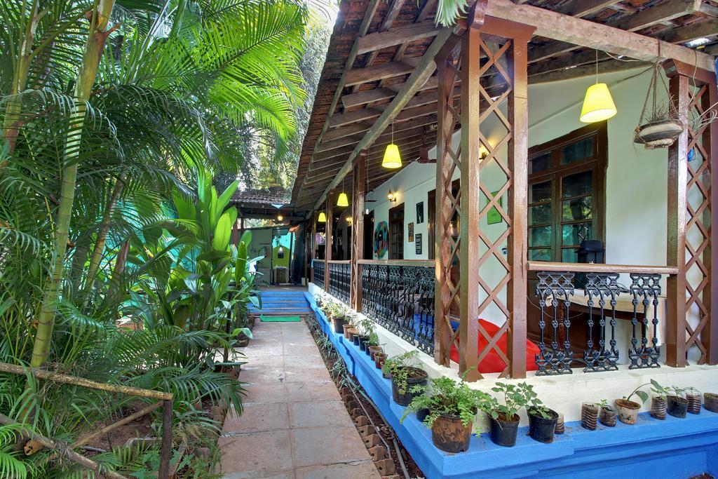 Zostel Goa Hostel กาลังกูติ ภายนอก รูปภาพ